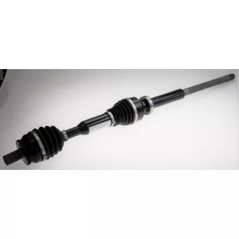 Arbre de transmission LÖBRO OEM 36001218