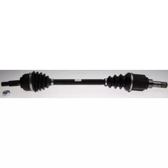 Arbre de transmission LÖBRO OEM 8201150981