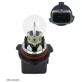 Ampoule, feu de stationnement/de position OE [6216H3]