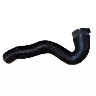 Gaine de suralimentation TEKNÖR OEM 1446300Q2K