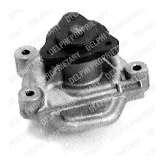 DELPHI WP2022 - Pompe à eau