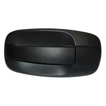 Poignée de porte avant droit TEKNÖR OEM 91168527