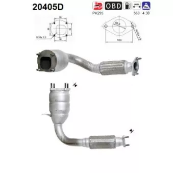 AS 20405D - Catalyseur