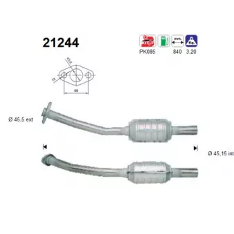 AS 21244 - Catalyseur