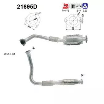 AS 21695D - Catalyseur
