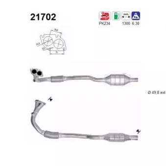 Catalyseur AS [21702]