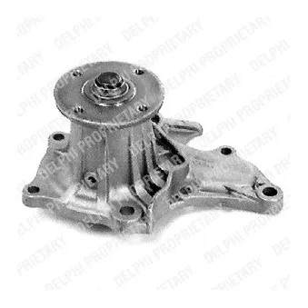 DELPHI WP2097 - Pompe à eau