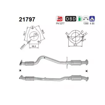 AS 21797 - Catalyseur