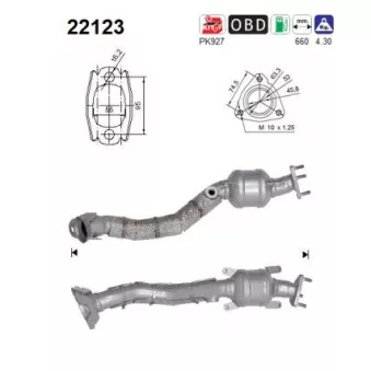 AS 22123 - Catalyseur