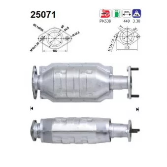 AS 25071 - Catalyseur