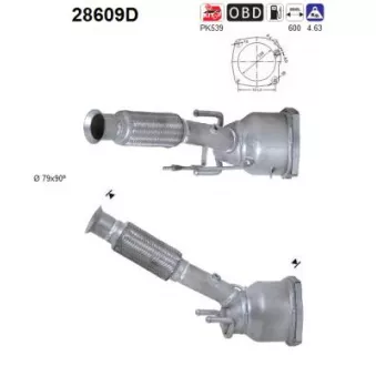 Catalyseur AS [28609D]