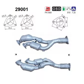 Catalyseur AS [29001]