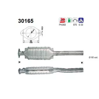 Catalyseur AS 30165