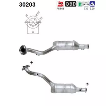 Catalyseur AS OEM 200102969R