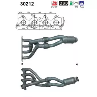 Catalyseur AS 30212