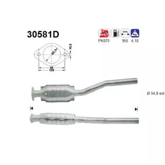 AS 30581D - Catalyseur