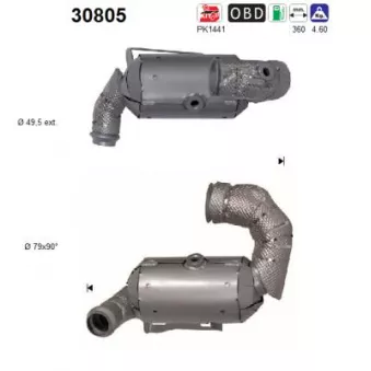AS 30805 - Catalyseur