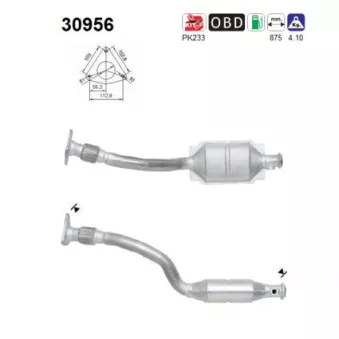 Catalyseur AS 30956