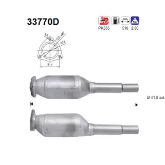 AS 33770D - Catalyseur