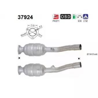 Catalyseur AS [37924]