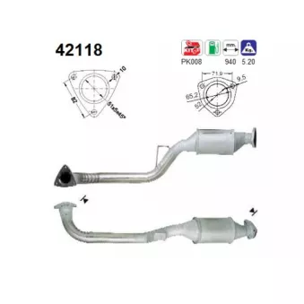 AS 42118 - Catalyseur