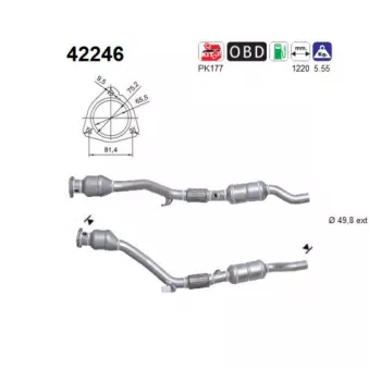 AS 42246 - Catalyseur