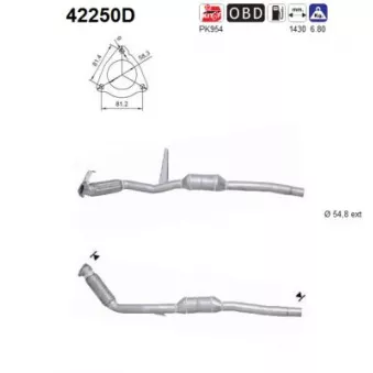 AS 42250D - Catalyseur