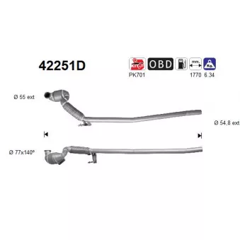 AS 42251D - Catalyseur