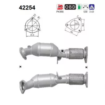 Catalyseur AS [42254]