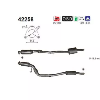 Catalyseur AS 42258