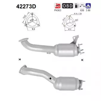 AS 42273D - Catalyseur