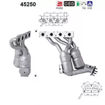 Catalyseur AS 45250