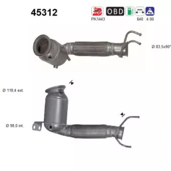 AS 45312 - Catalyseur