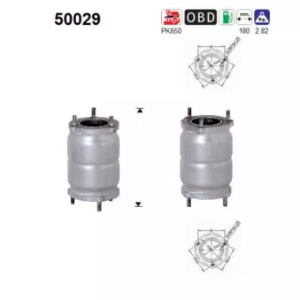 AS 50029 - Catalyseur