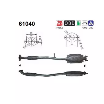 Catalyseur AS OEM 2861005310