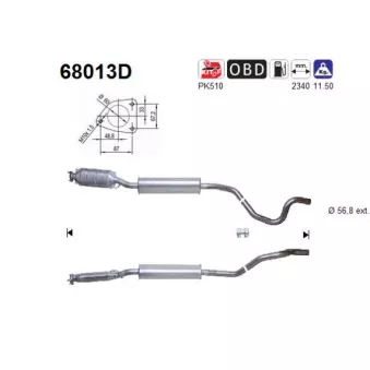 AS 68013D - Catalyseur