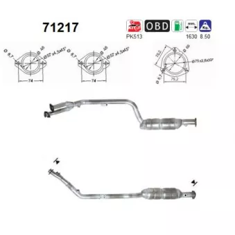 Catalyseur AS OEM 1704906519