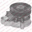 DELPHI WP2436 - Pompe à eau