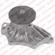 DELPHI WP2521 - Pompe à eau