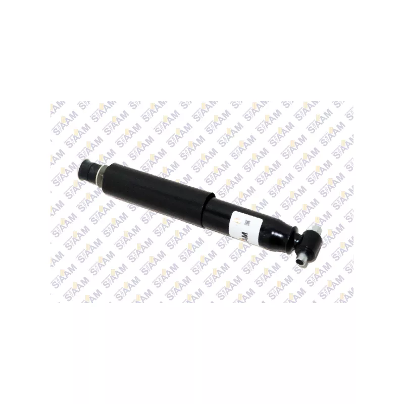 Jeu de 2 amortisseurs arrière SIAAM 254484 - Visuel 1