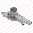 DELPHI WP2598 - Pompe à eau