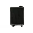 THERMOTEC D7AG021TT - Radiateur, refroidissement du moteur
