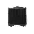 THERMOTEC D7AG132TT - Radiateur, refroidissement du moteur