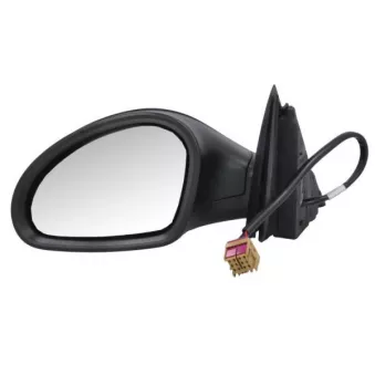 Rétroviseur extérieur BLIC OEM 6L0857537
