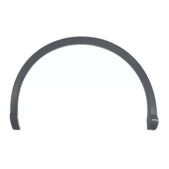 Baguette et bande protectrice, aile arrière droit BLIC 5703-04-0036424SP