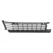BLIC 5703-05-0562916P - Grille de ventilation, pare-chocs