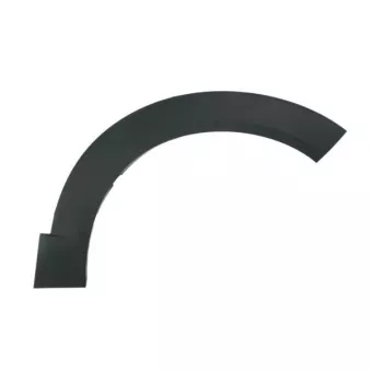 Baguette et bande protectrice, aile avant droit BLIC 5703-08-3479372CP