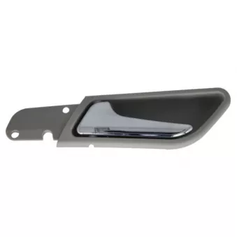 Poignée de porte BLIC OEM 1697600961