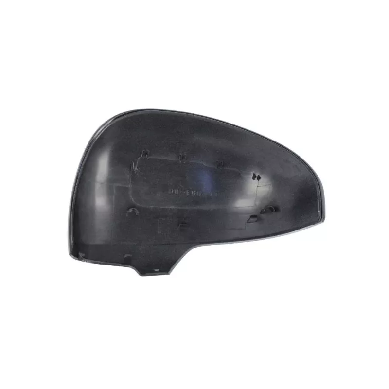 Revêtement, rétroviseur extérieur BLIC 6103-19-1398352P - Visuel 1