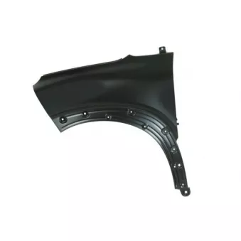 Aile avant gauche BLIC 6504-04-0532315P